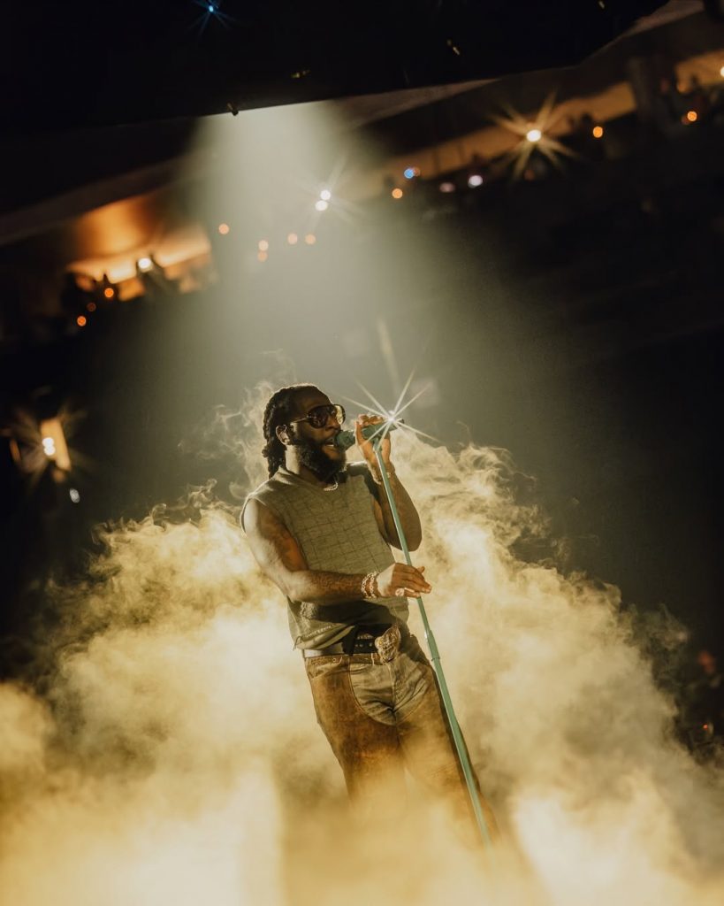 Davido Dominates the 2025 Entertainment Arts Excellence Awards